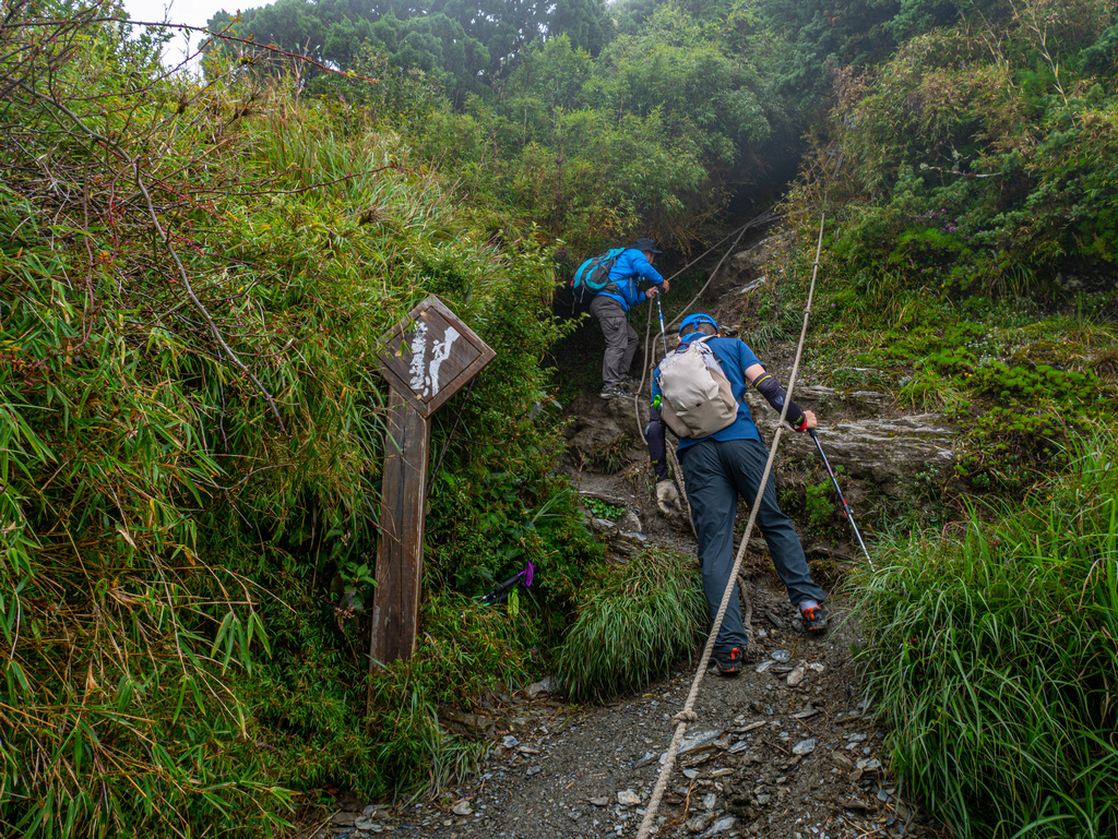 晸-P1180767.jpg 晸-P1180767.jpg