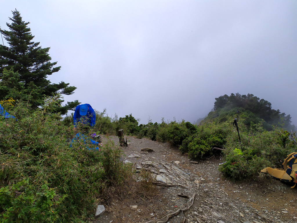 IMG_20220819_094054.jpg IMG_20220819_094054.jpg