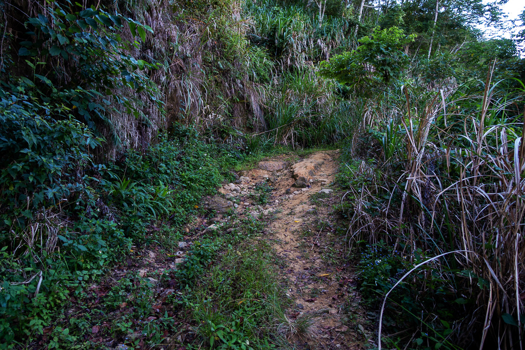 DSC09472.jpg DSC09472.jpg