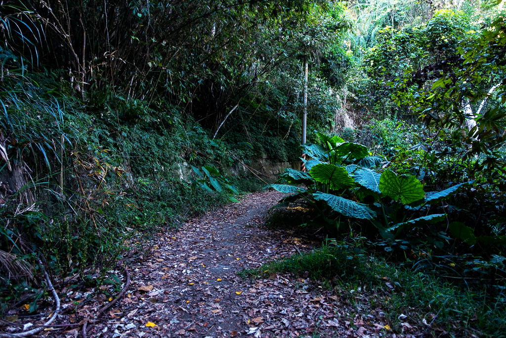 DSC09473.jpg DSC09473.jpg