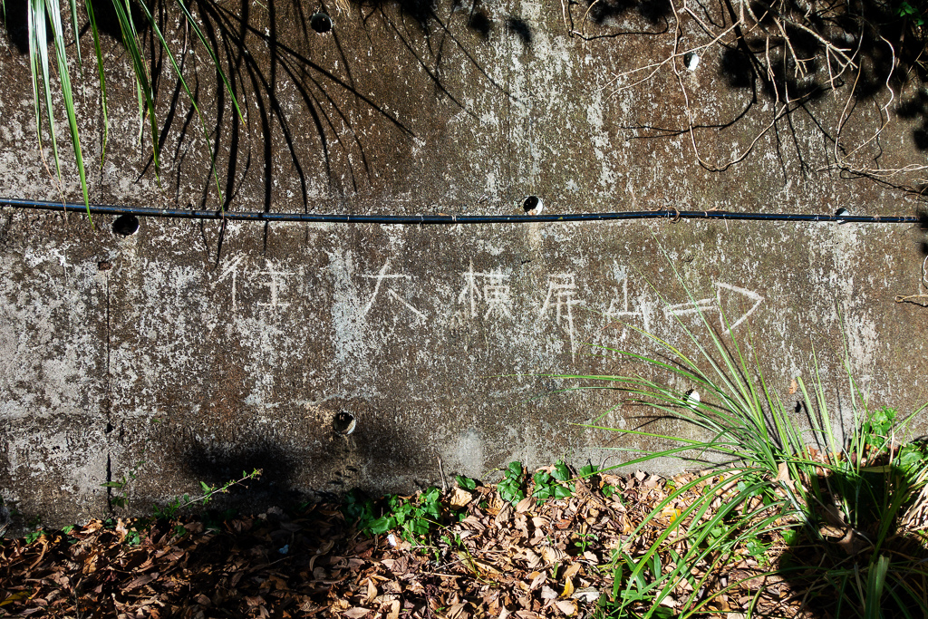 DSC09476.jpg DSC09476.jpg