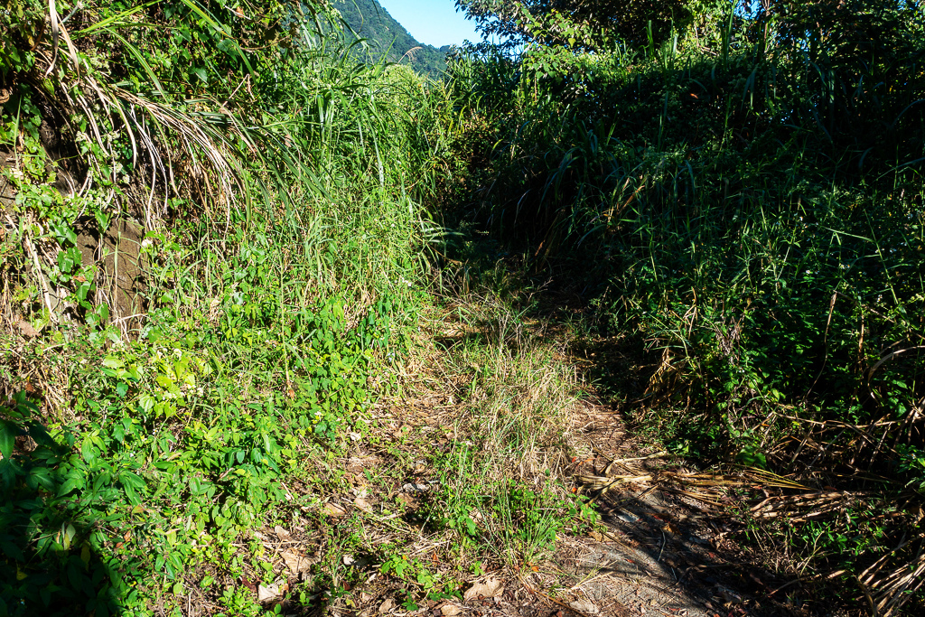 DSC09477.jpg DSC09477.jpg