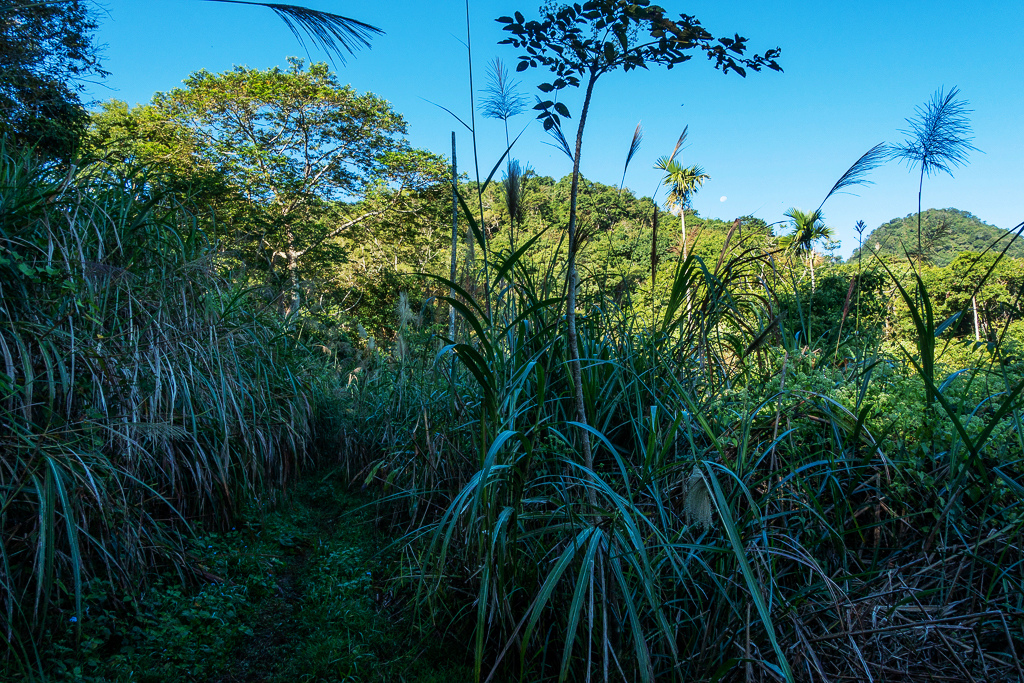 DSC09479.jpg DSC09479.jpg