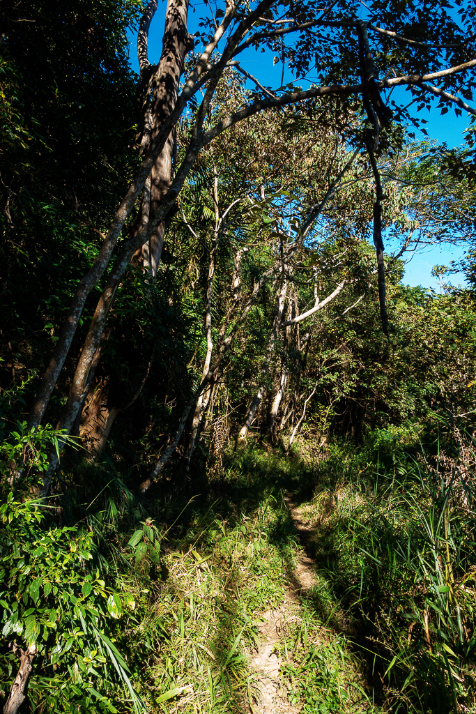 DSC09482.jpg DSC09482.jpg