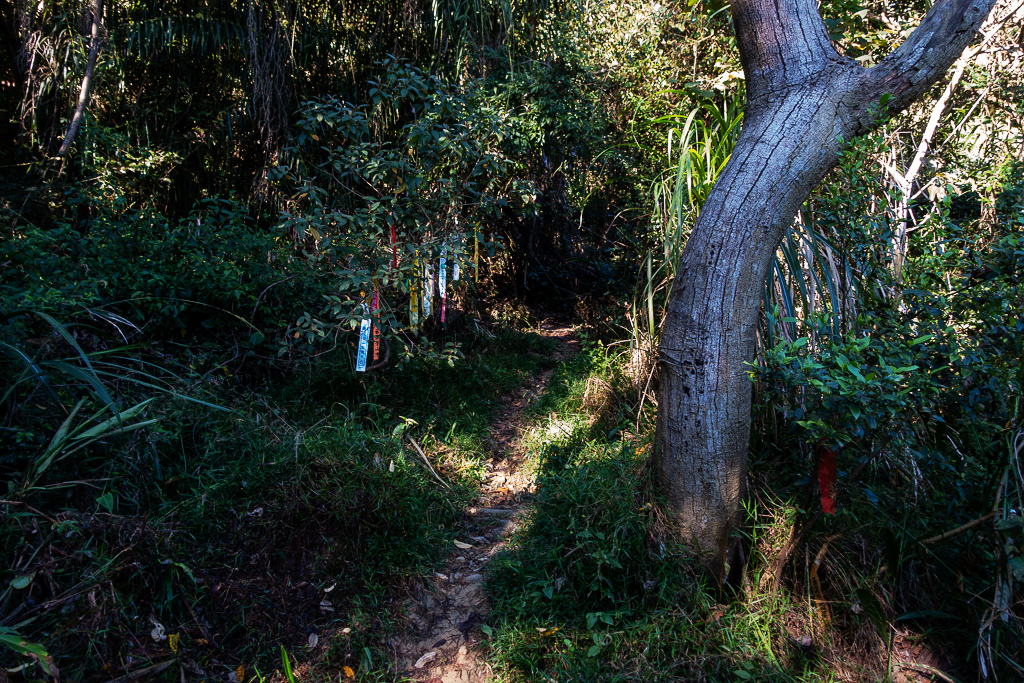 DSC09483.jpg DSC09483.jpg