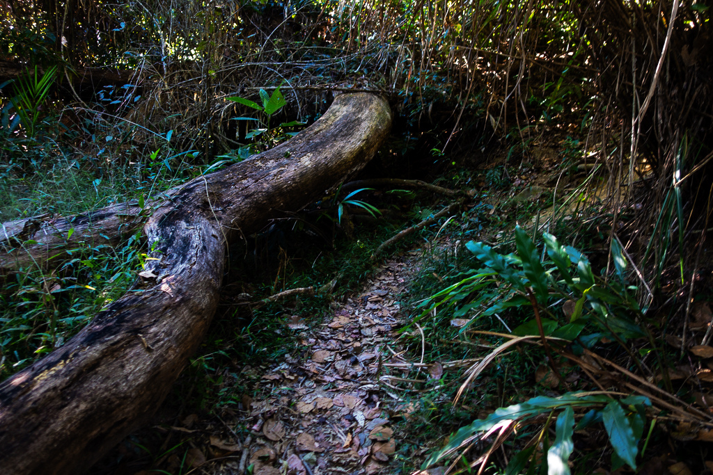 DSC09484.jpg DSC09484.jpg