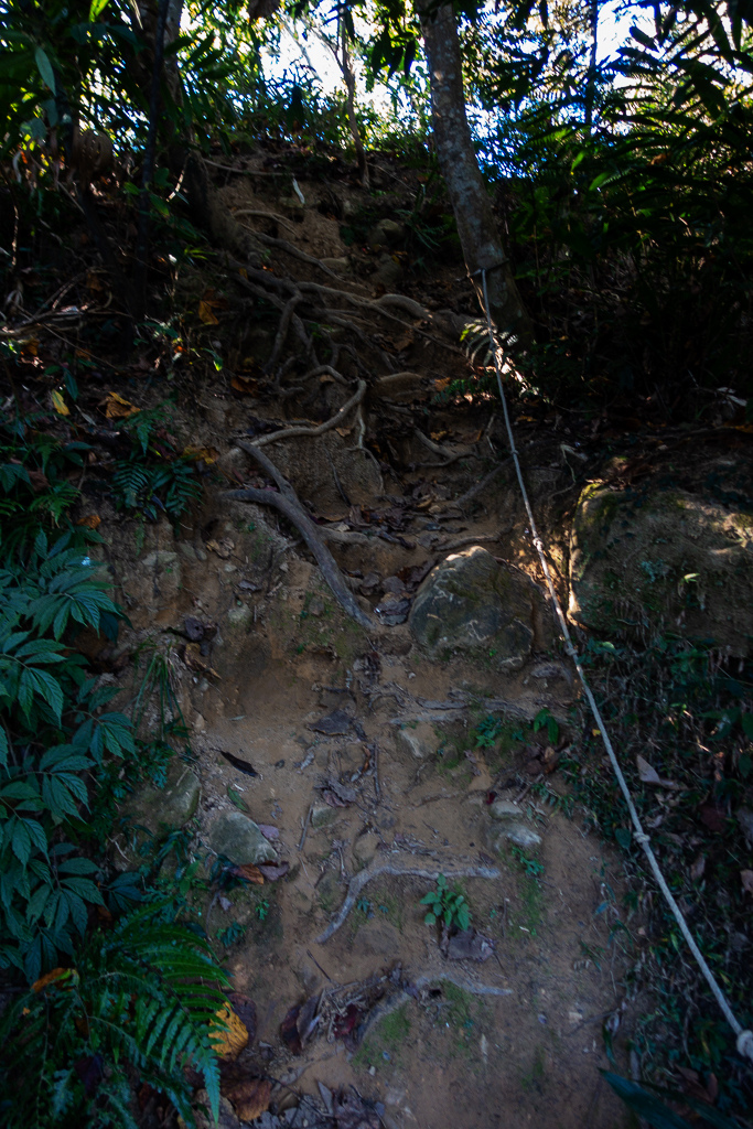 DSC09488.jpg DSC09488.jpg