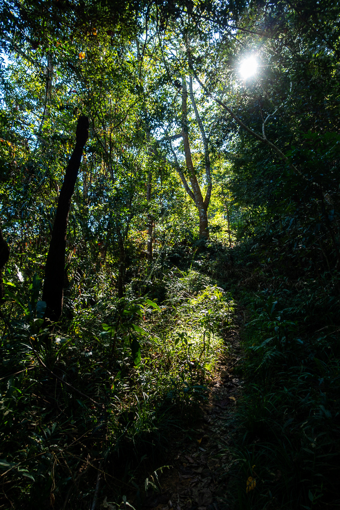 DSC09487.jpg DSC09487.jpg