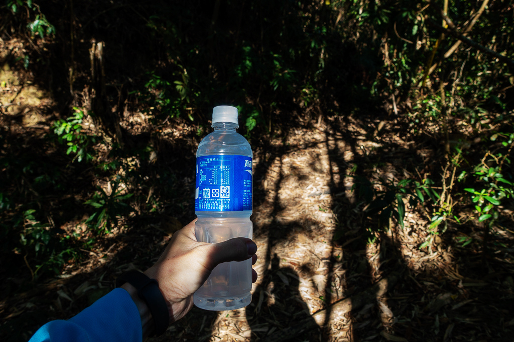 DSC09490.jpg DSC09490.jpg