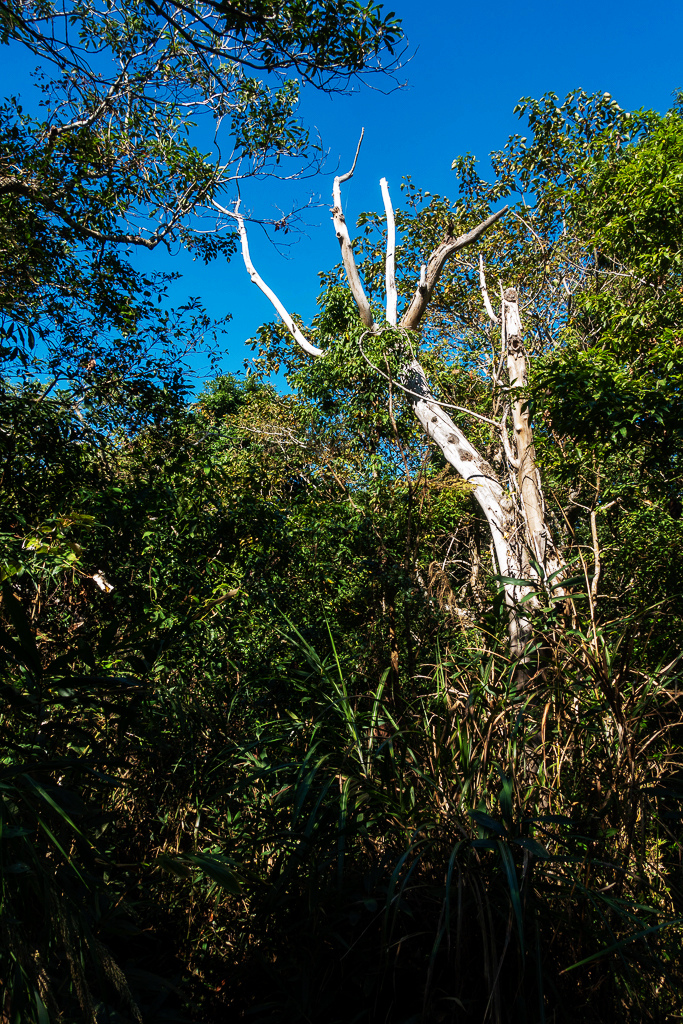 DSC09489.jpg DSC09489.jpg