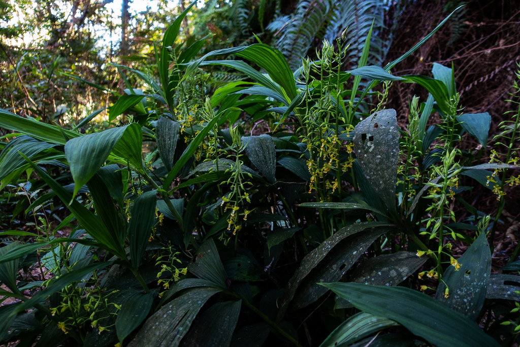 DSC09492.jpg DSC09492.jpg