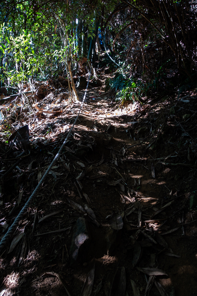 DSC09494.jpg DSC09494.jpg