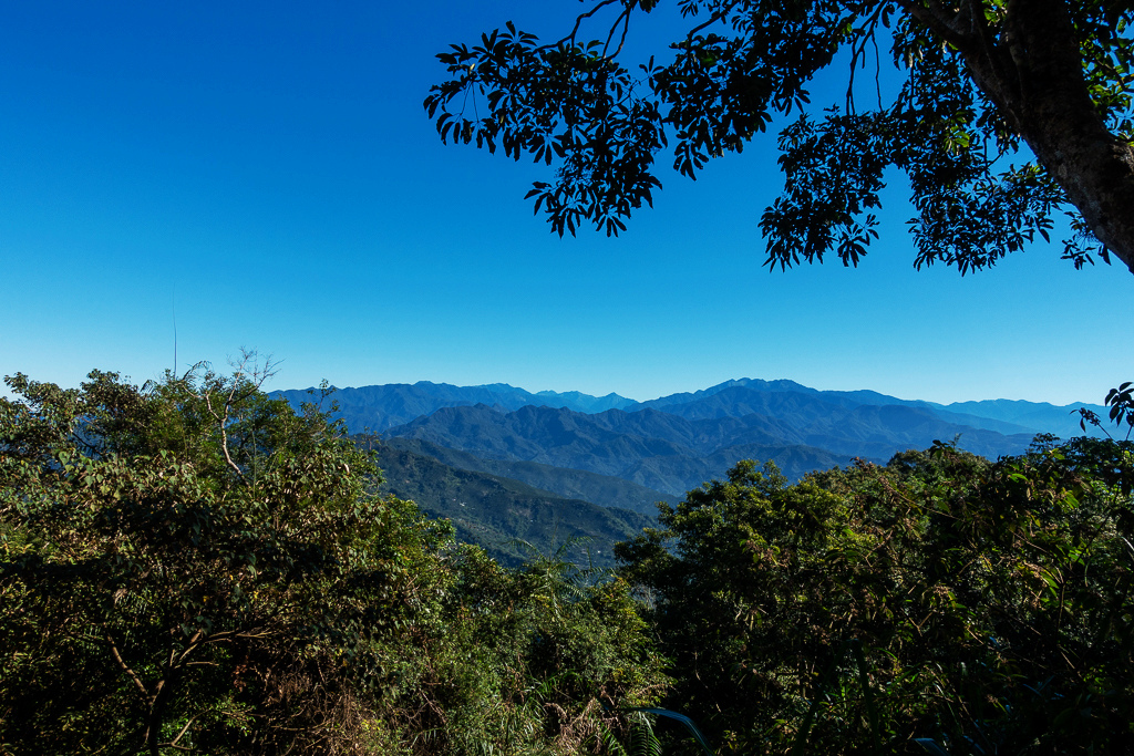 DSC09495.jpg DSC09495.jpg