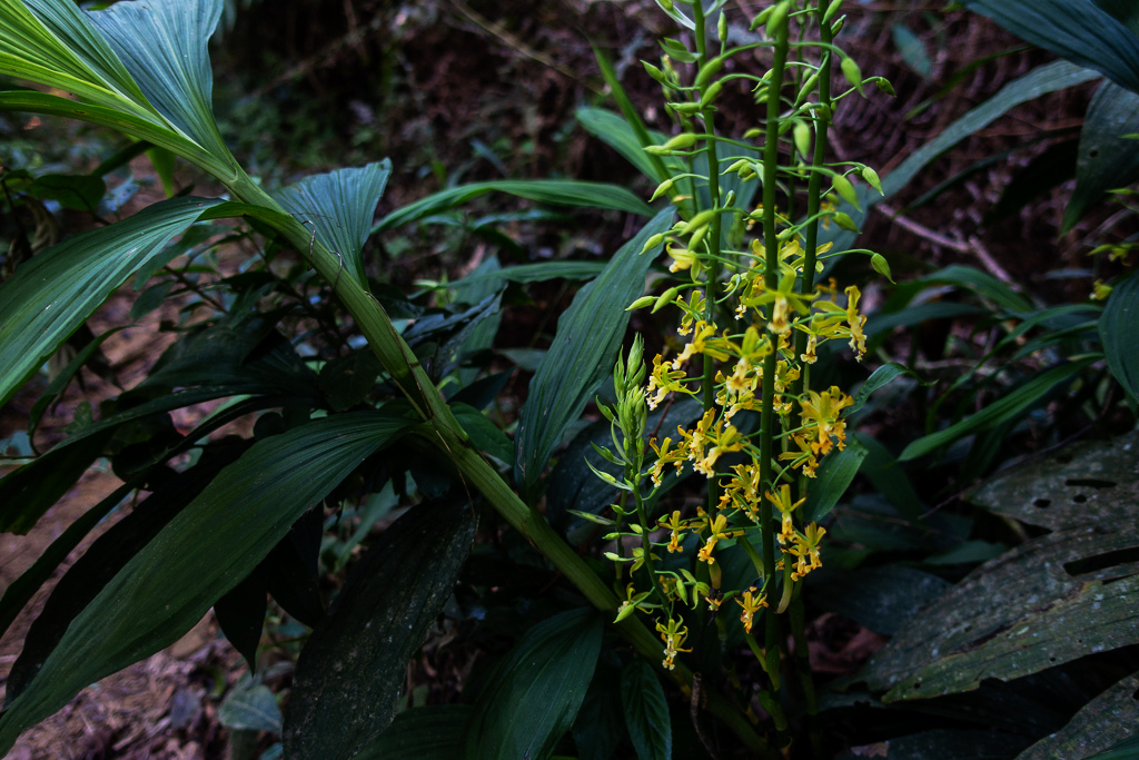 DSC09491.jpg DSC09491.jpg