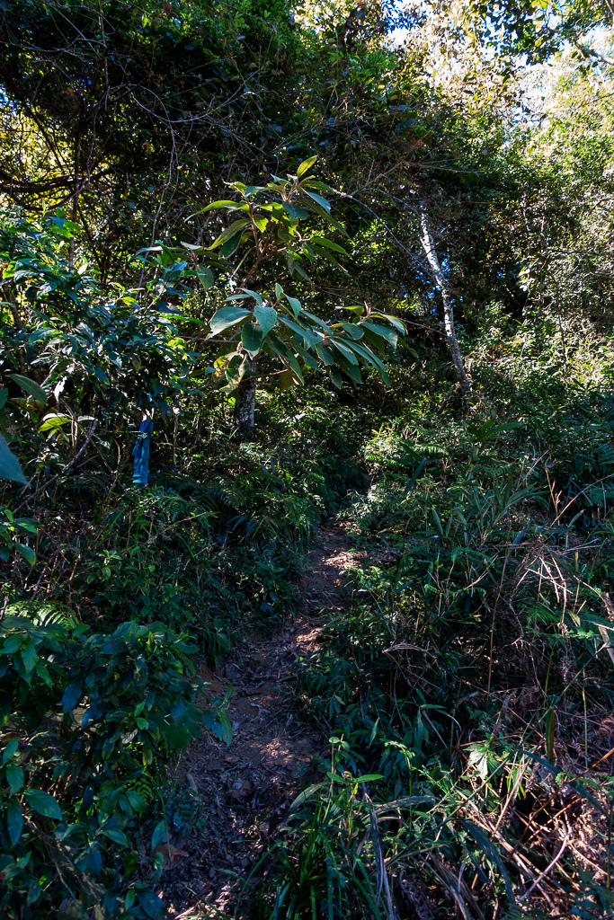 DSC09497.jpg DSC09497.jpg