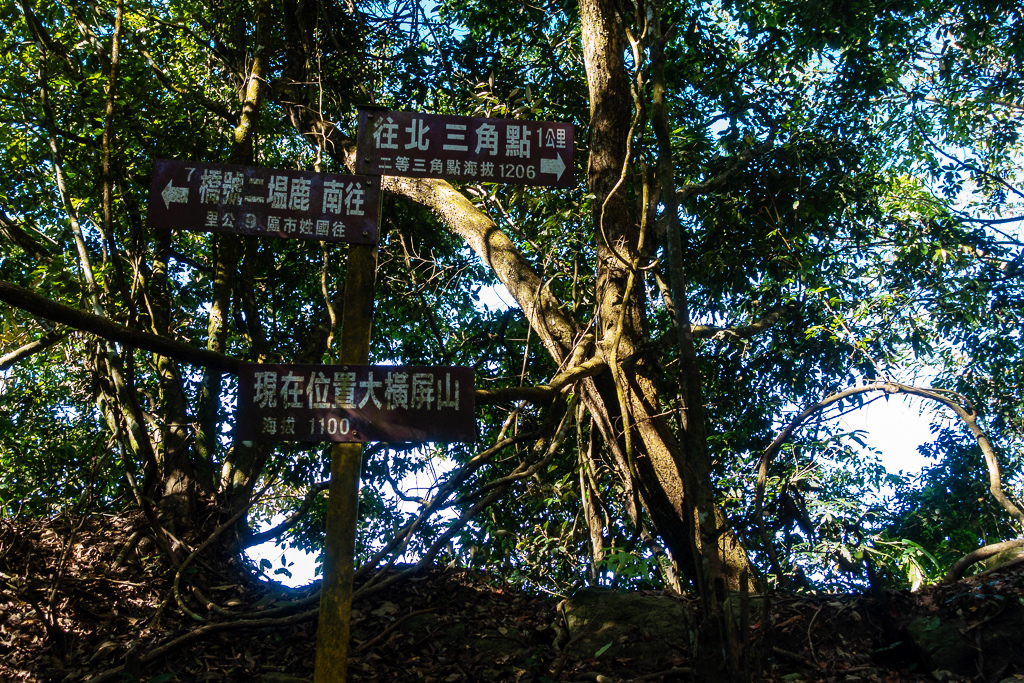 DSC09498.jpg DSC09498.jpg