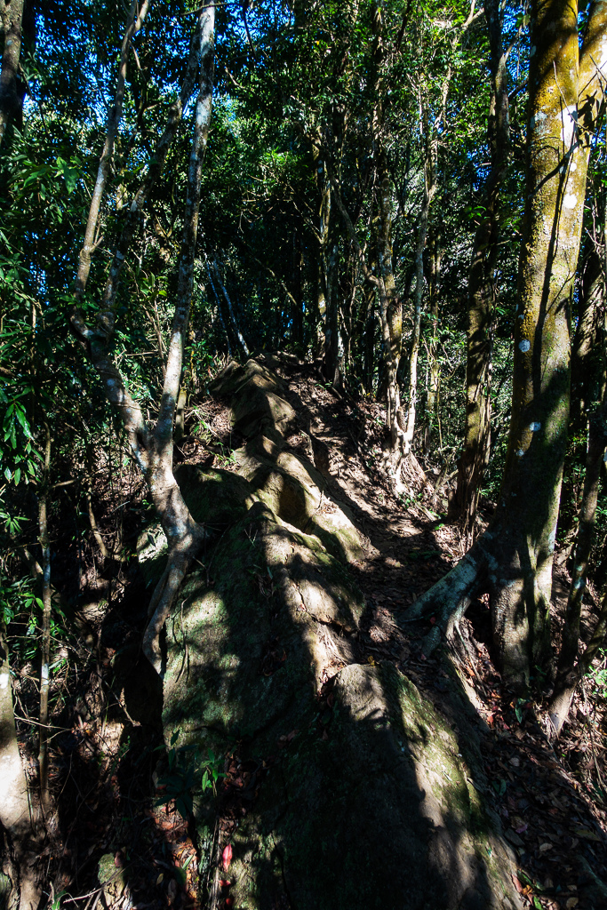 DSC09499.jpg DSC09499.jpg