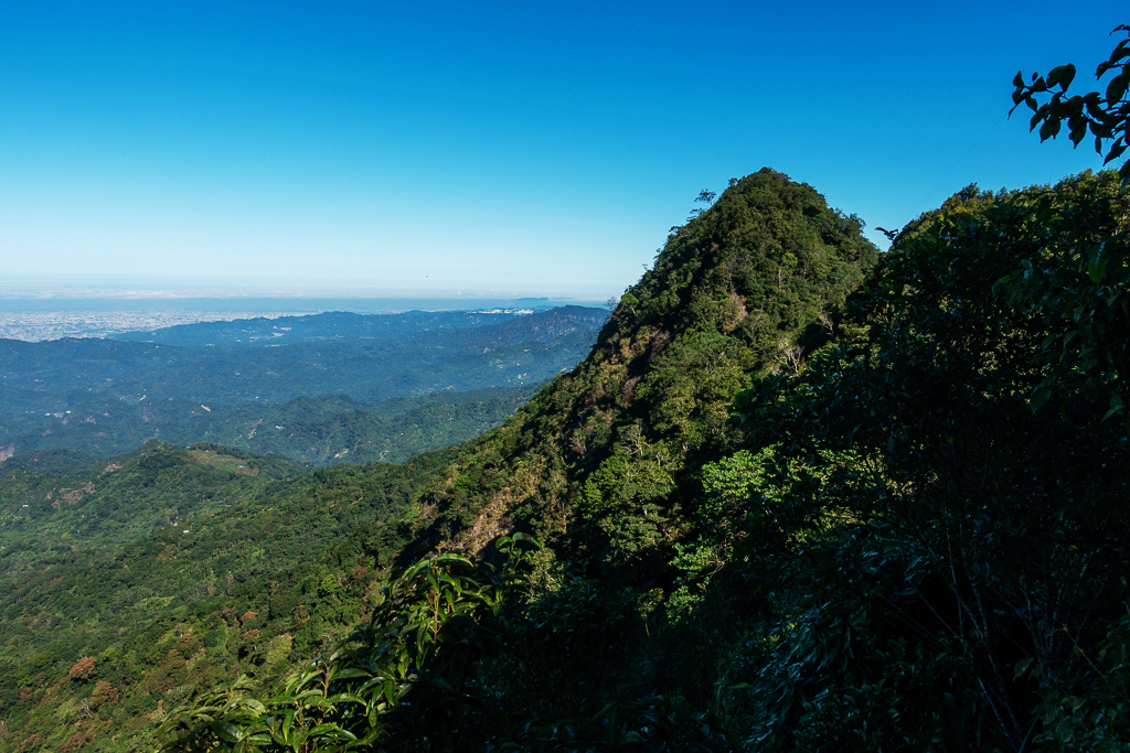 DSC09509.jpg DSC09509.jpg