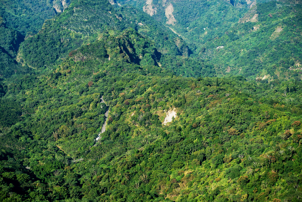 DSC09510.jpg DSC09510.jpg