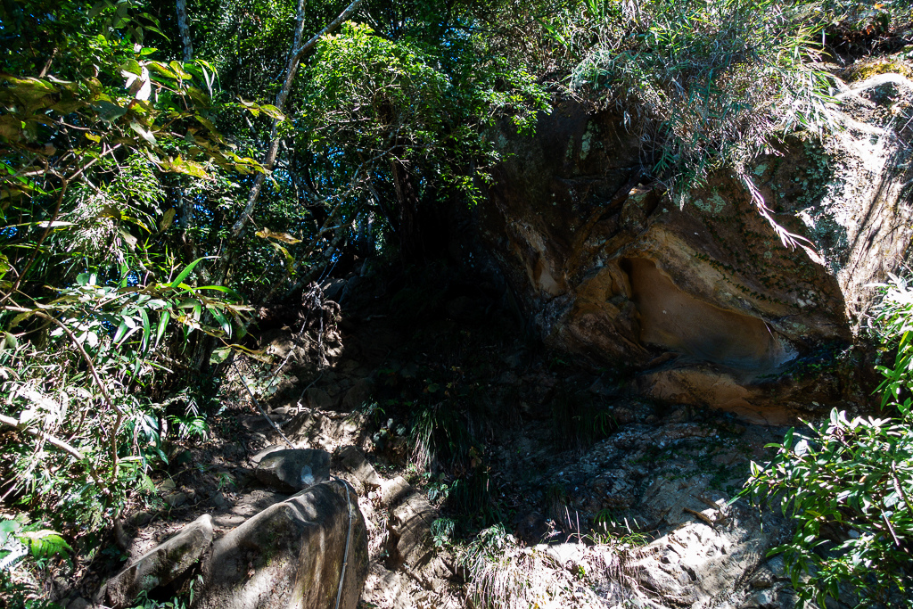 DSC09512.jpg DSC09512.jpg