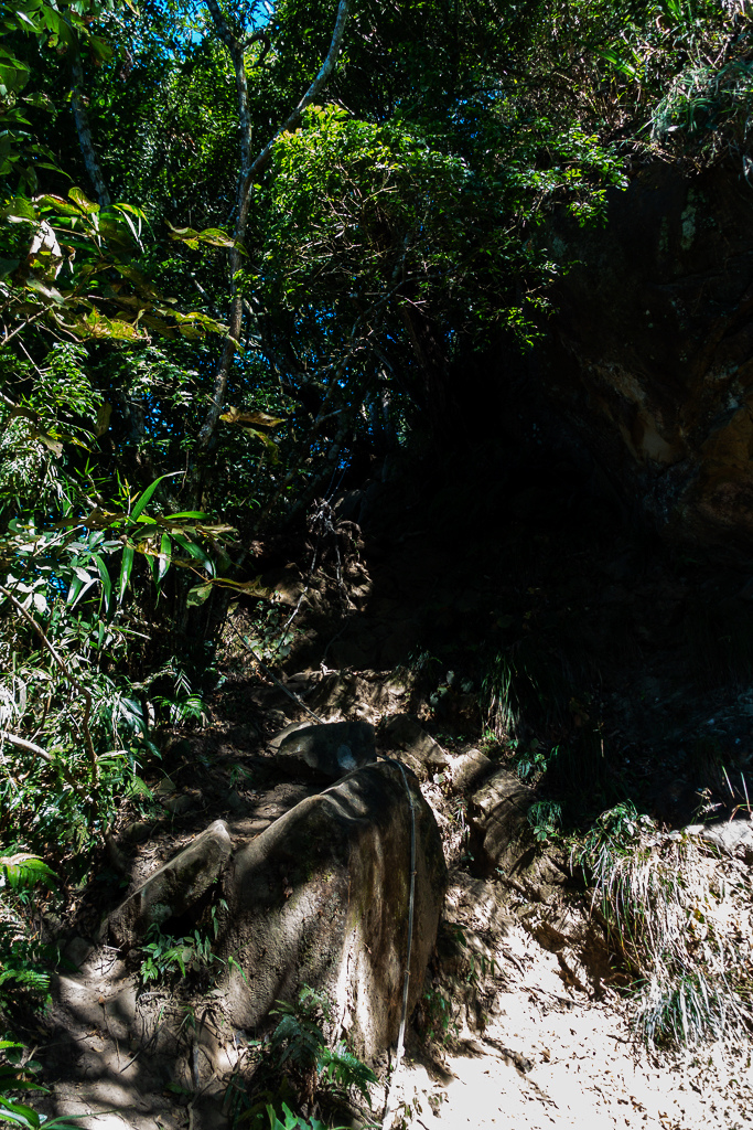 DSC09513.jpg DSC09513.jpg