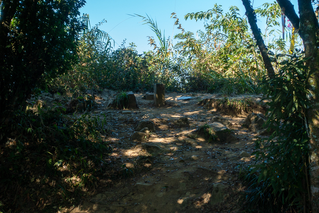 DSC09528.jpg DSC09528.jpg