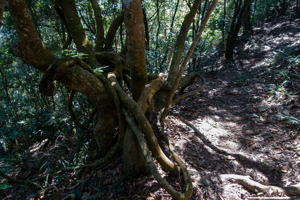 DSC09532.jpg DSC09532.jpg