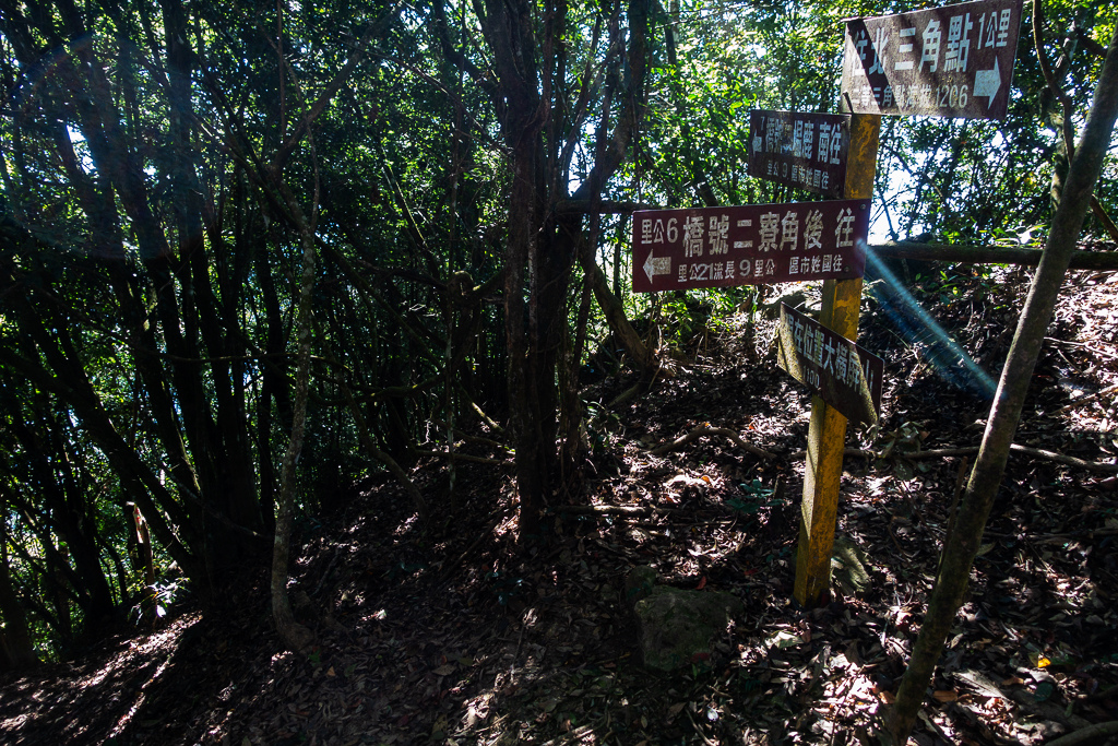 DSC09533.jpg DSC09533.jpg