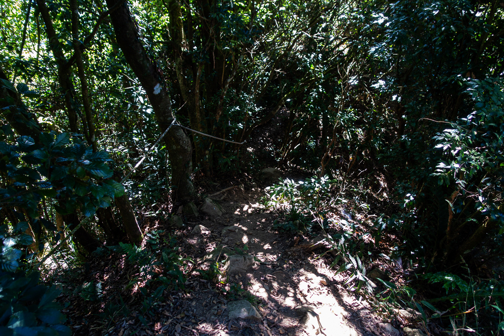 DSC09531.jpg DSC09531.jpg