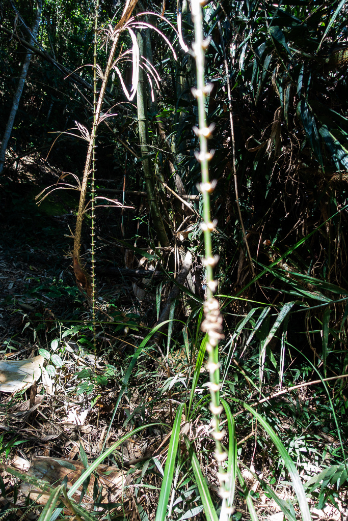 DSC09534.jpg DSC09534.jpg