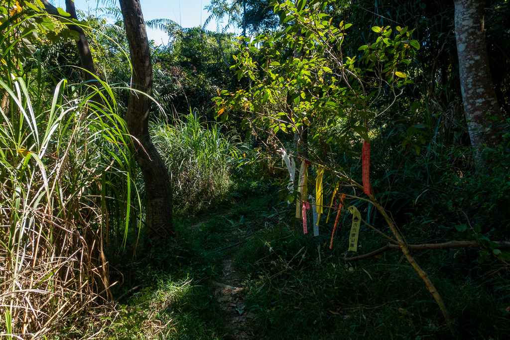 DSC09535.jpg DSC09535.jpg