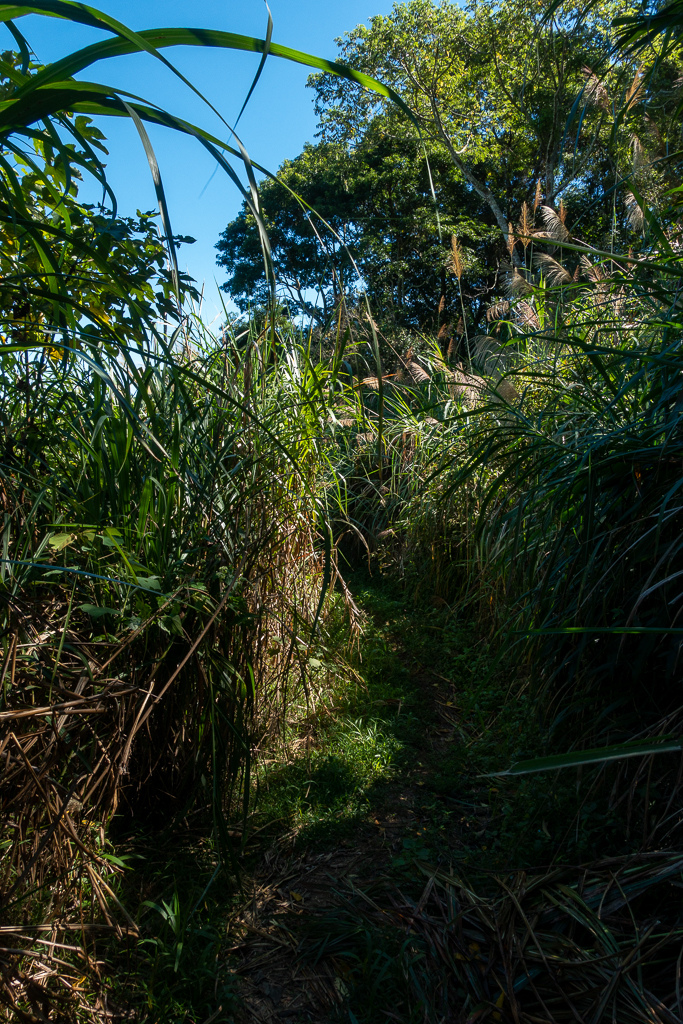 DSC09539.jpg DSC09539.jpg