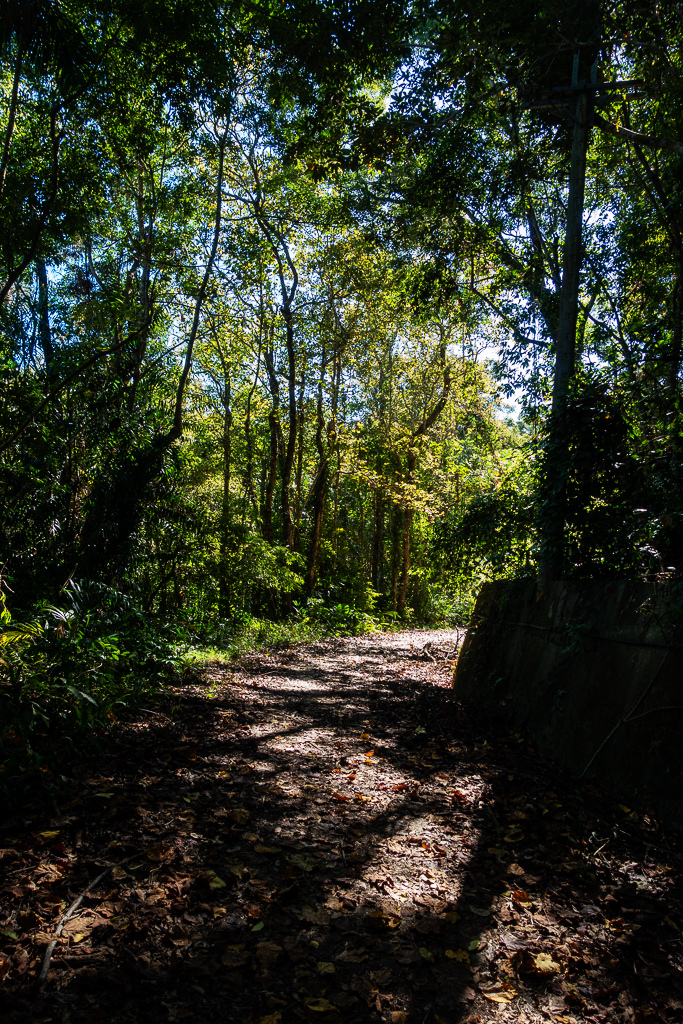 DSC09540.jpg DSC09540.jpg