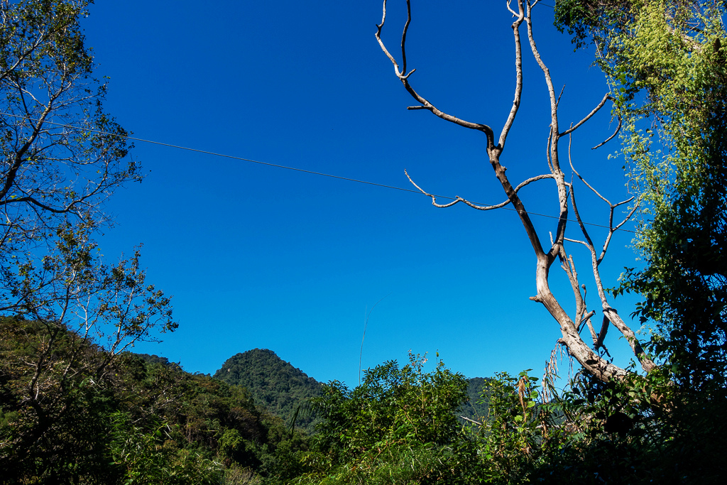 DSC09541.jpg DSC09541.jpg