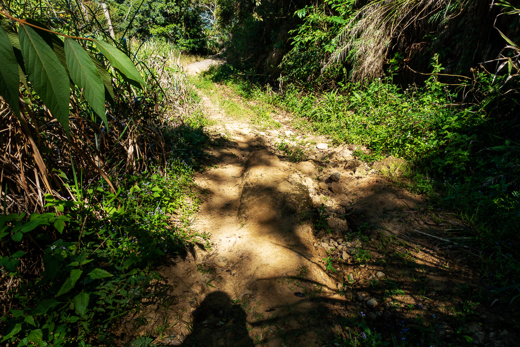 DSC09542.jpg DSC09542.jpg