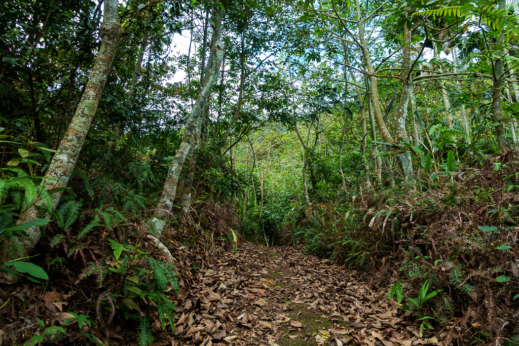 DSC09551.jpg DSC09551.jpg