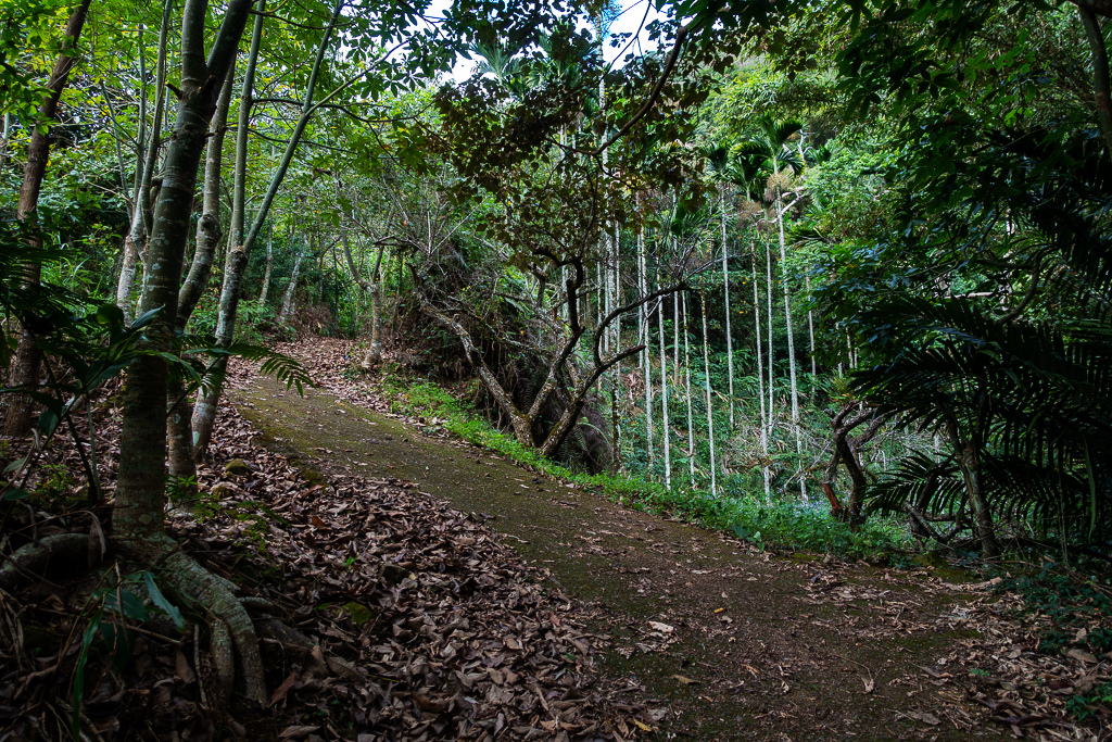 DSC09550.jpg DSC09550.jpg