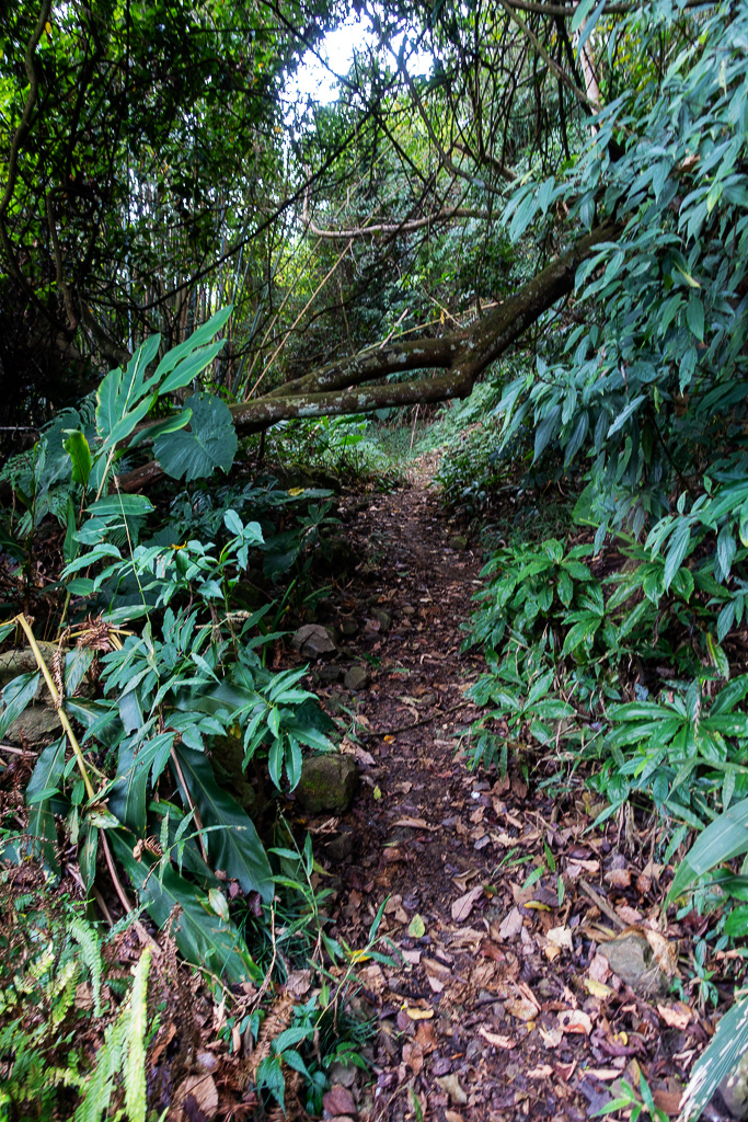 DSC09553.jpg DSC09553.jpg