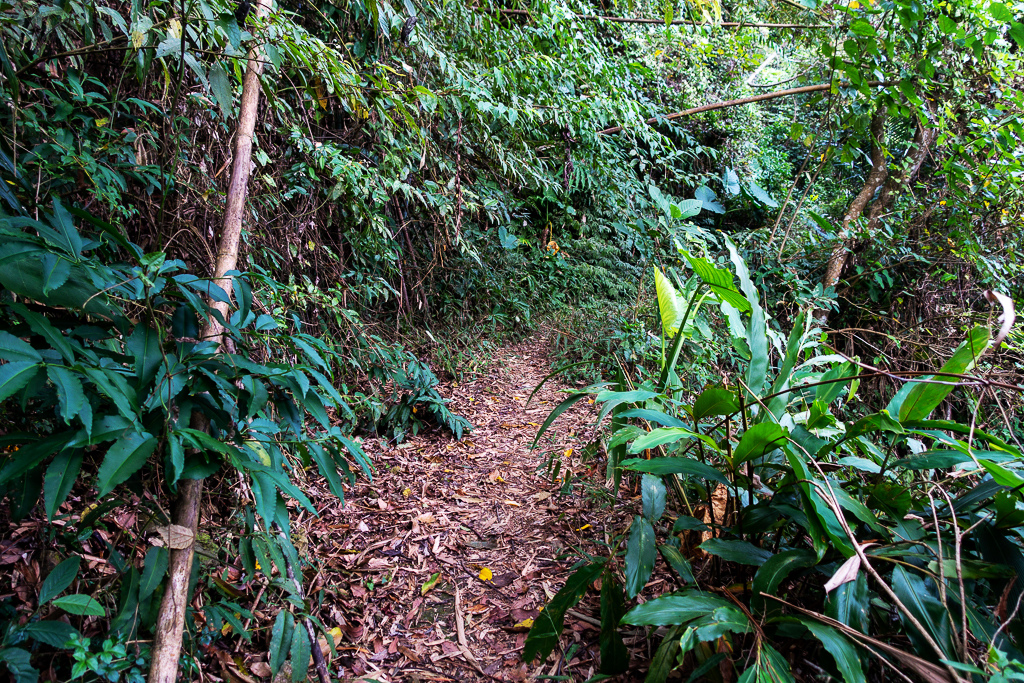 DSC09552.jpg DSC09552.jpg