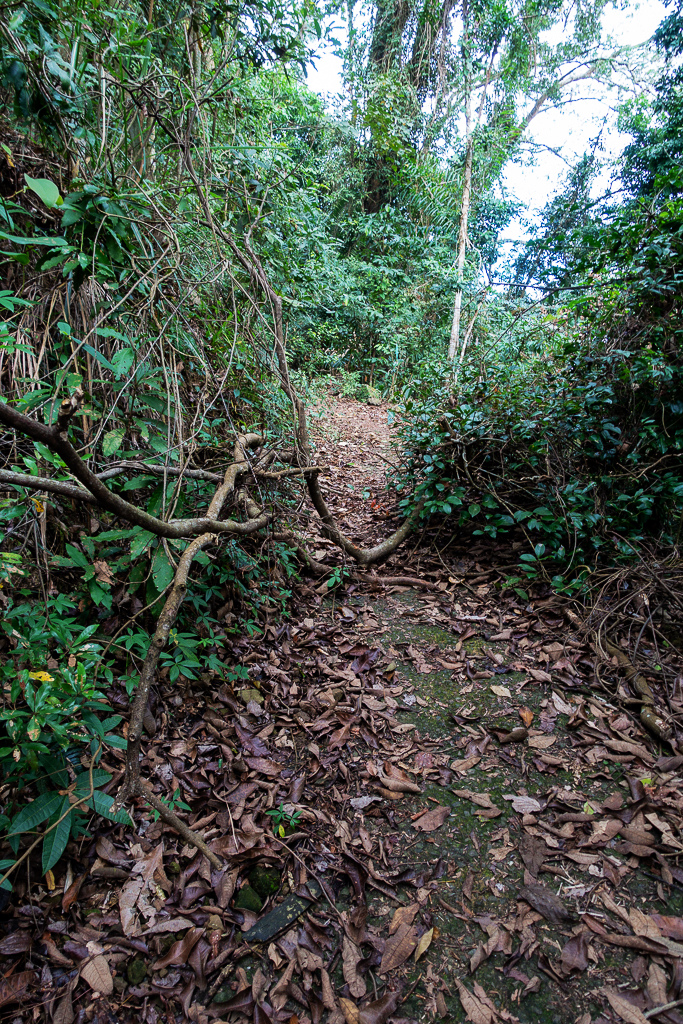 DSC09555.jpg DSC09555.jpg