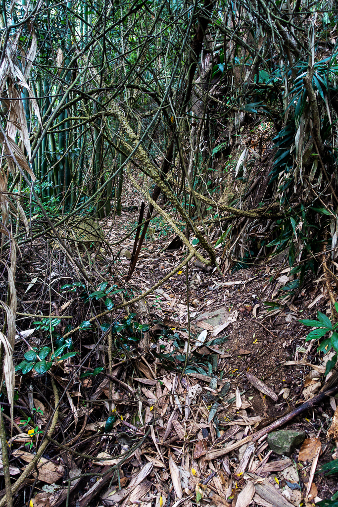 DSC09556.jpg DSC09556.jpg