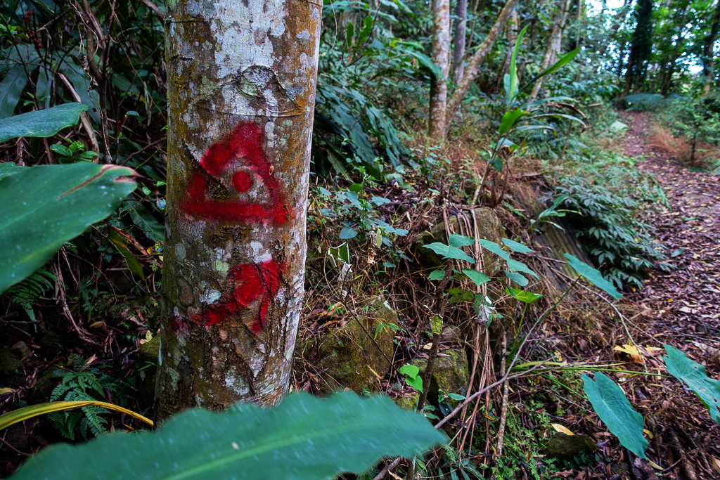 DSC09559.jpg DSC09559.jpg