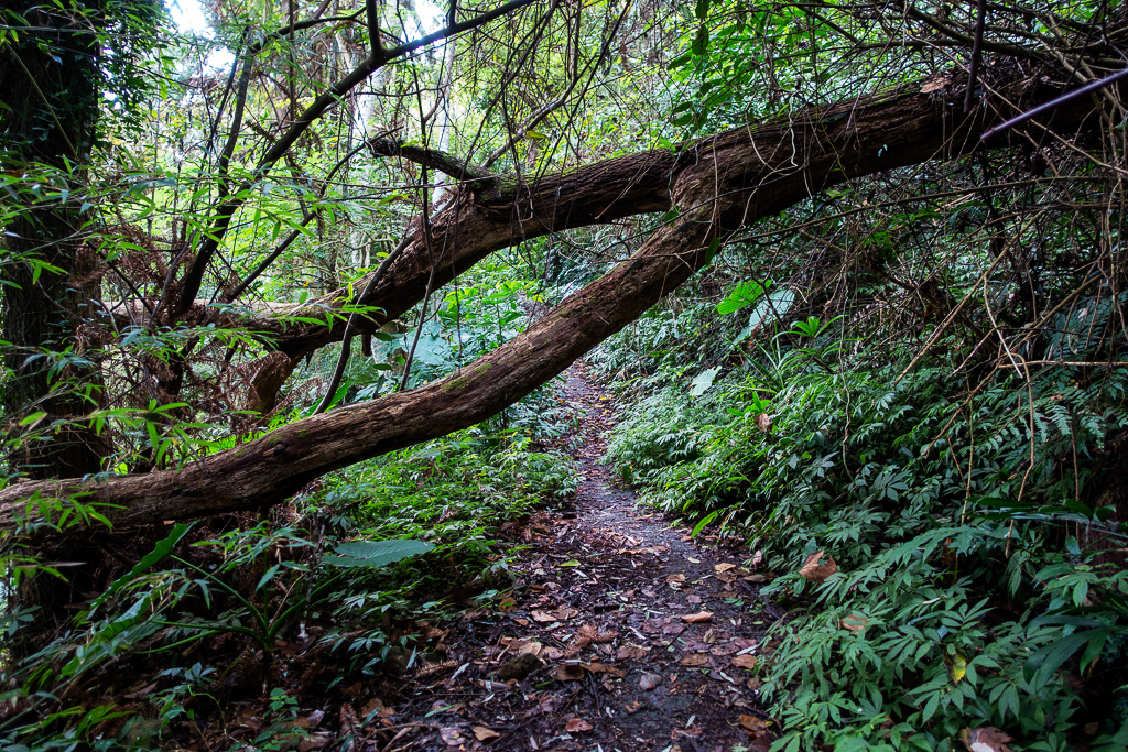 DSC09557.jpg DSC09557.jpg