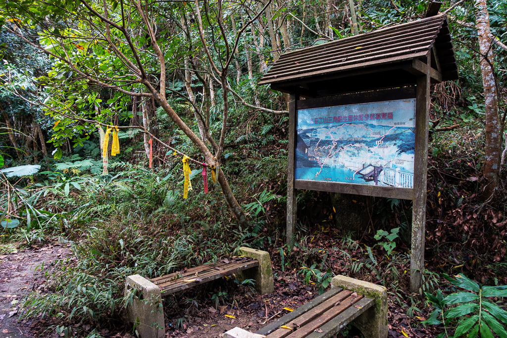 DSC09560.jpg DSC09560.jpg