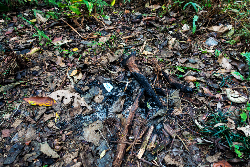 DSC09562.jpg DSC09562.jpg