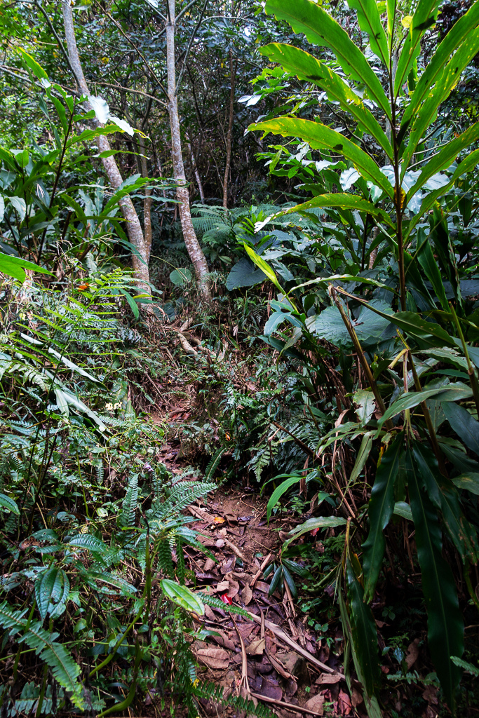 DSC09563.jpg DSC09563.jpg