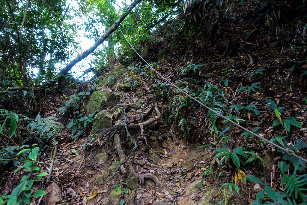 DSC09564.jpg DSC09564.jpg