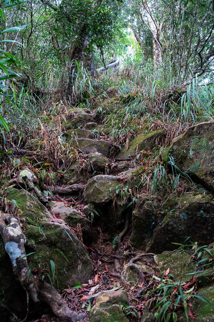 DSC09566.jpg DSC09566.jpg