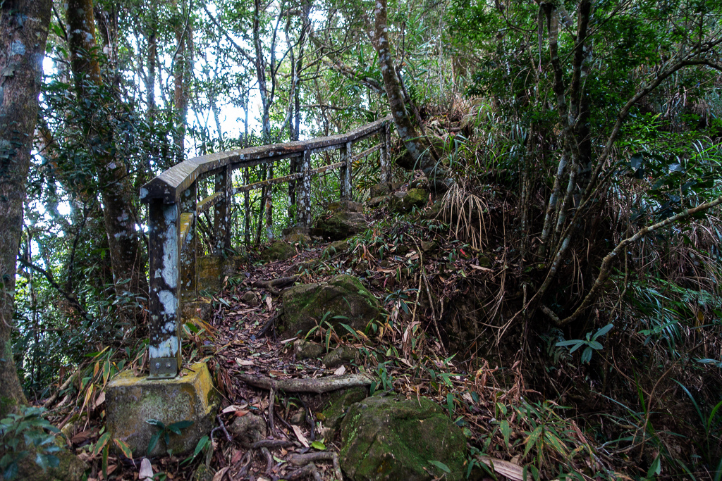 DSC09565.jpg DSC09565.jpg