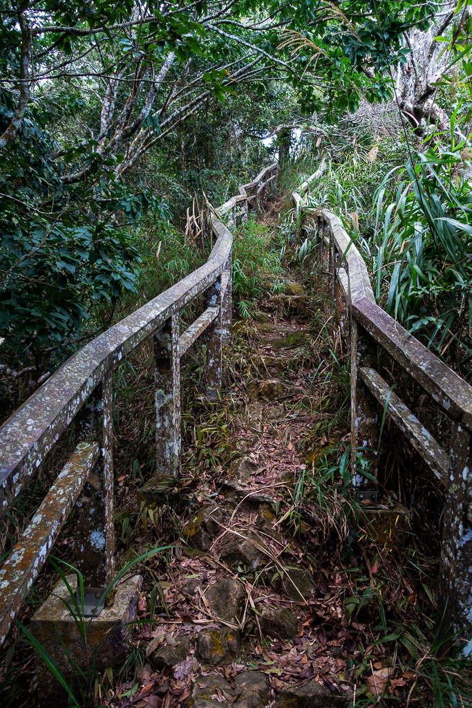 DSC09567.jpg DSC09567.jpg